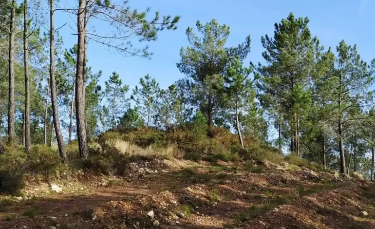  A Mámoa das Sete Buratas en Cartelle